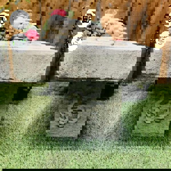 Stone Cast Small Birdbath Monk Buddha