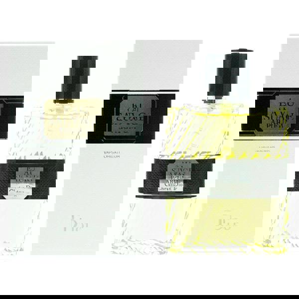 Dior Eau Sauvage Parfum 100ml