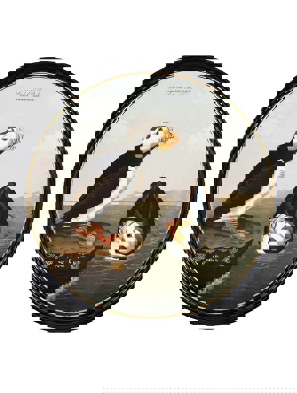 Exceptional Art c.1838 Audubon's Puffins - Round Frame