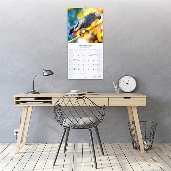 African Greys Calendar 2027, Wall Calendars, Month To View, Animals, Gift
