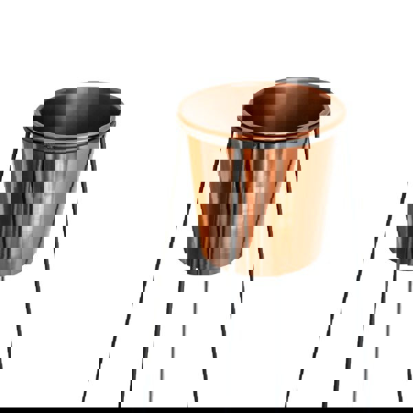Ivyline Copper Planter and Minimo Stand