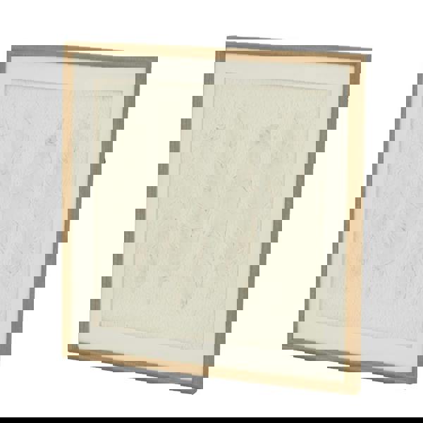 Hill Interiors Alta Feathers Framed Art Print - Brown/White/Grey - 