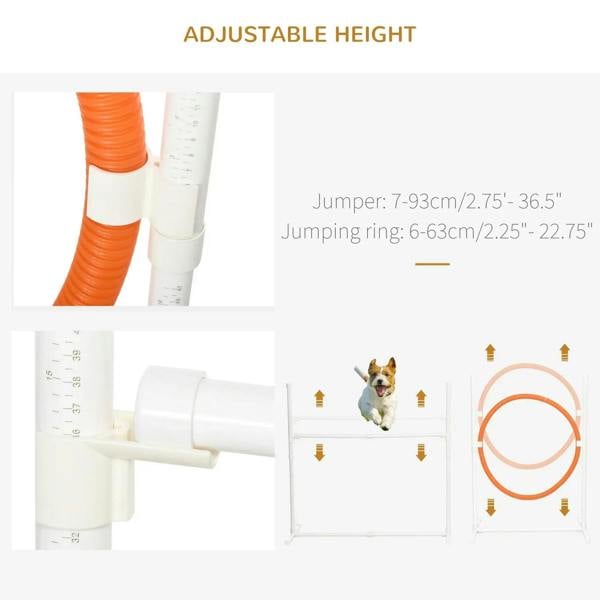 Adjustable-height dog jumping ring and tunnel set with measurement callouts