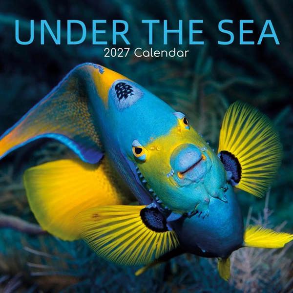 Under The Sea Calendar 2027, Wall Calendars, Month To View, Animals, Gift