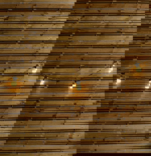 Samuel Alexander Set of 20 Indoor Outdoor Connectable Party Festoon Lights with Warm White LEDs