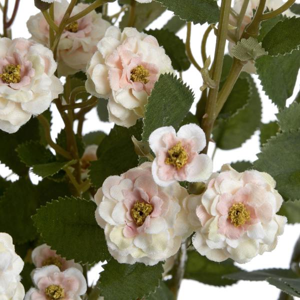 Wyld Haus Set of 3 Artificial Flowers Cream Wild Meadow Rose Stems