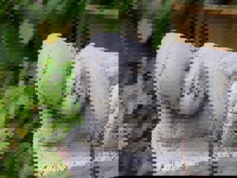 Charming Stone Cast Small Lying Monk in Robe