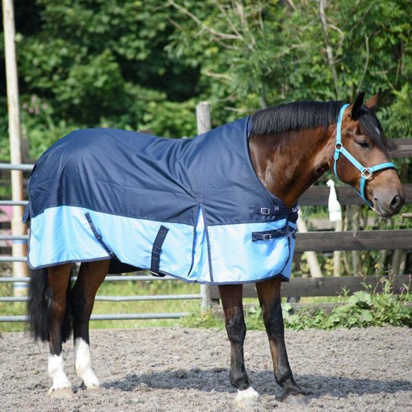 eQuitack 600D Outdoor Winter Lightweight Waterproof Horse Turnout Rug 0g No Fill Half Neck Nylon Lined Double Buckle Navy/Baby Blue