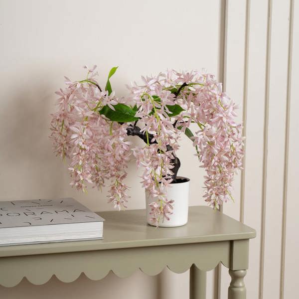 Scottish Everlastings 36cm Pink Orchid Bonsai in White Pot