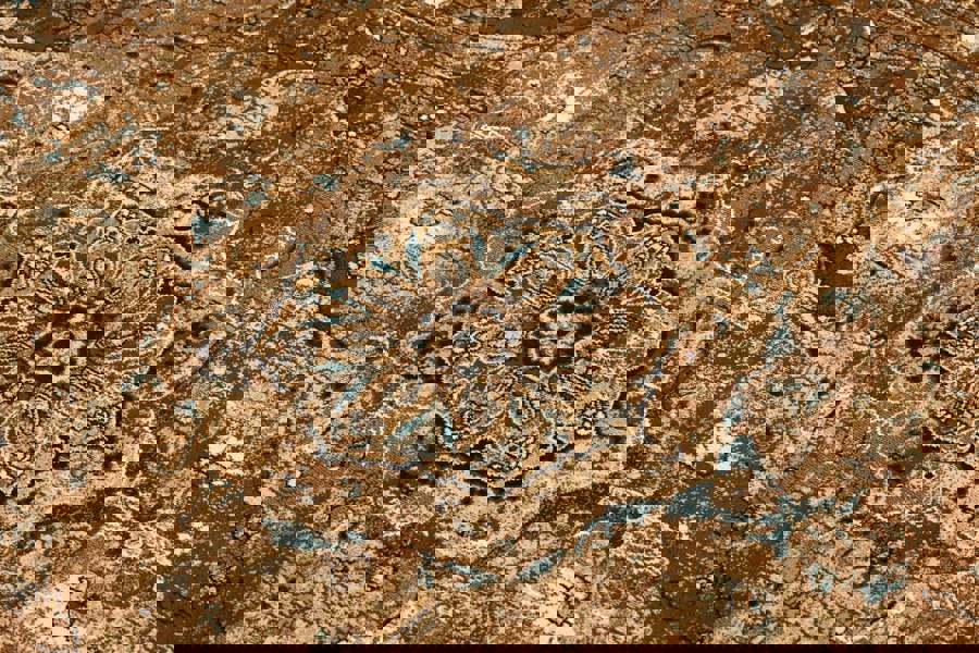 RugsX Wool  Superior Rug