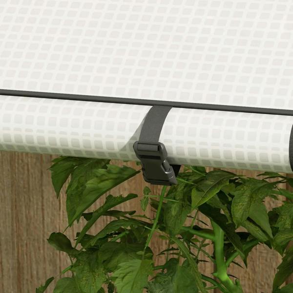 Mini greenhouse close-up: black strap clamp securing the white cover roll