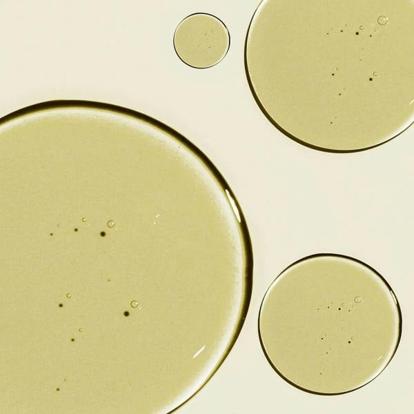 Haruharu Wonder Sun & Tan Black Rice Moisture Airyfit Daily Sunscreen PA++++ SPF50+ 50ml - Additional 5