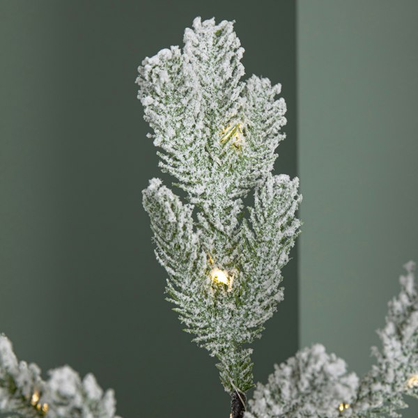 Samuel Alexander 1.5m (5ft) Light up Snow Flocked Christmas Pine Tree with 240 Warm White LEDs