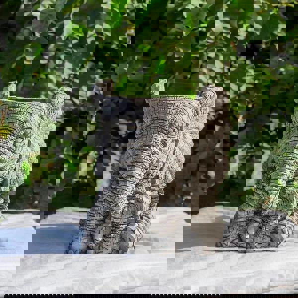 Small Stone Cast Elephant Planter Pot