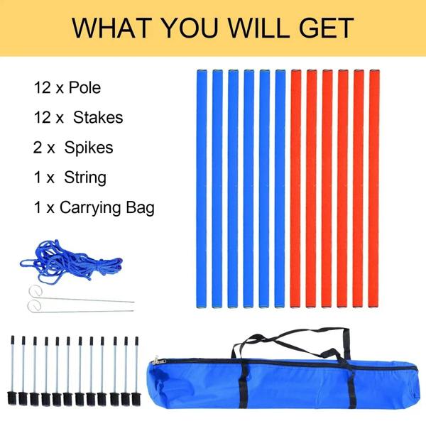 Agility training set contents: blue and red poles, stakes, spikes, string, and bag