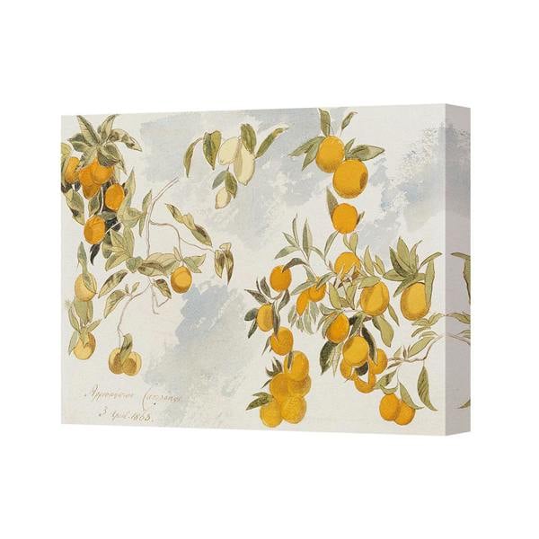 Benjamin Tate Design Orange Tree Canvas Wall Art Print Citrus Botanical Illustration