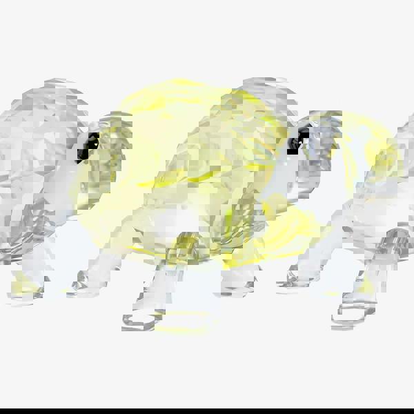 Swarovski Idyllia Baby Tortoise Figurine 5721550