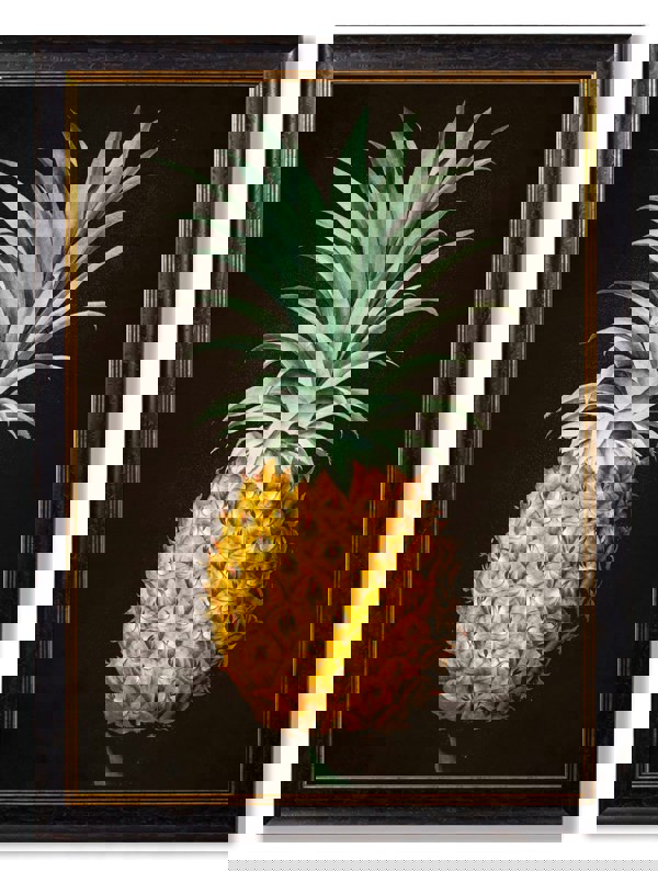 Exceptional Art c.1812 Pineapple Study (Black)