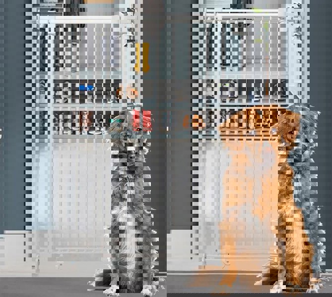 Bettacare Extra Tall Elite Dog Gate, 71cm - 80cm, Matt White, Extra Tall 96.8cm in Height, Pressure Fit Pet Gate