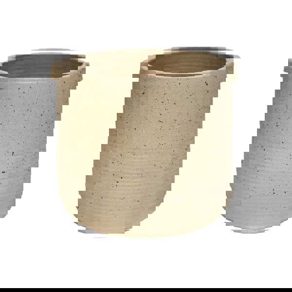 #color_oat