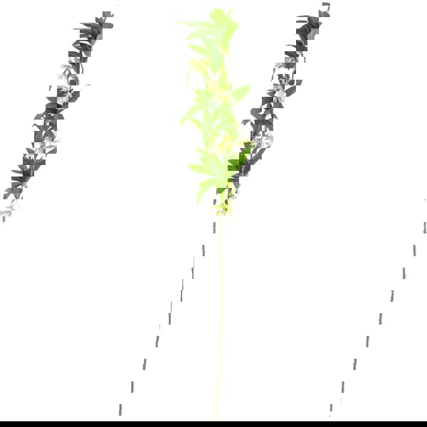 Leaf 65cm Mixed Peonies Glass Vase