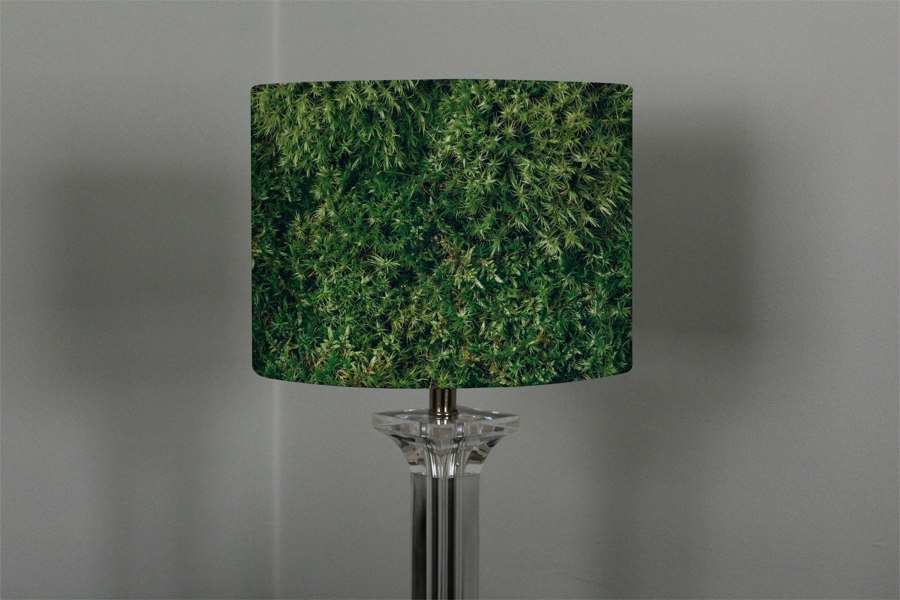 Benjamin Tate Design Natural green moss (Ceiling & Lamp Shade)