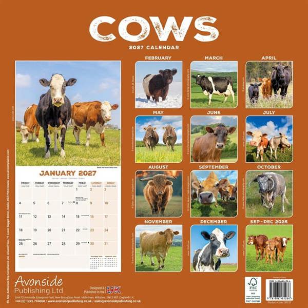 Cows Calendar 2027, Wall Calendars, Month To View, Animals, Gift