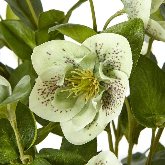 Wyld Haus Artificial Plant Green Hellebore Plant In Brown Ceramic Pot