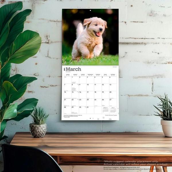 Golden Retriever Puppies Calendar 2027, Wall Calendars, Month To View, Dogs, Gift