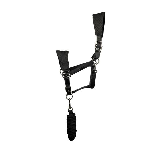 Coldstream Middleton Horse Headcollar - Black