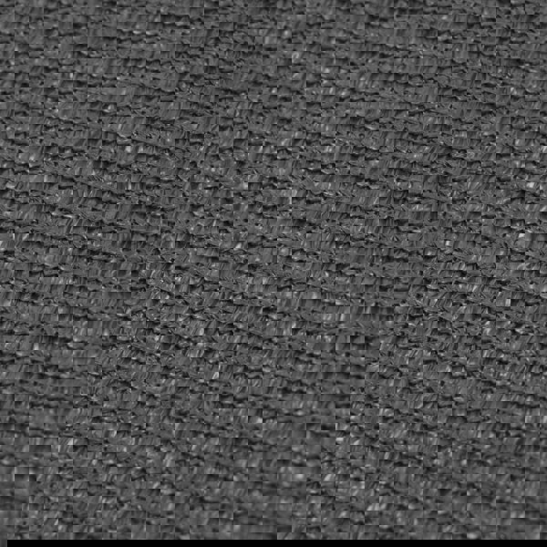 Berkfield Tent Carpet 300x600 cm Anthracite
