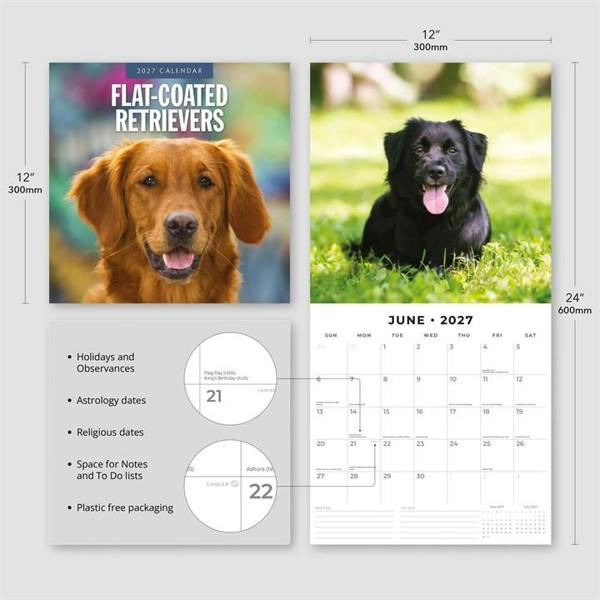 Flat Coated Retrievers Calendar 2027, Wall Calendars, Month To View, Dogs, Gift