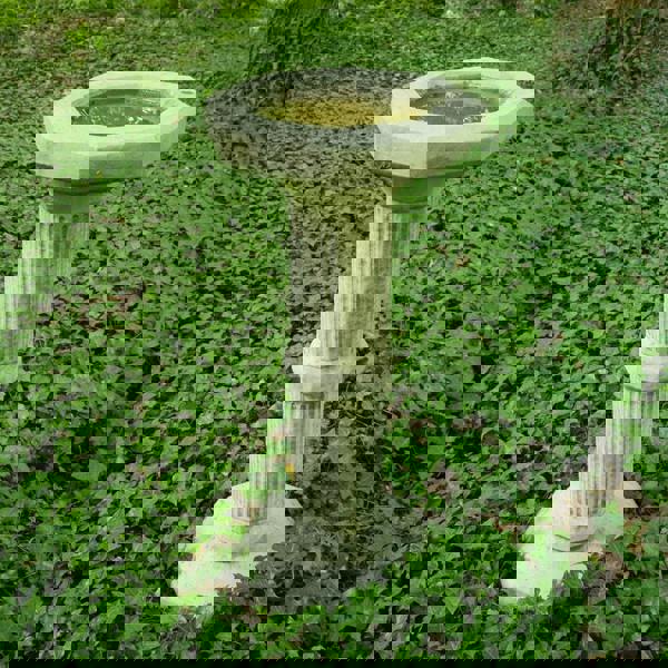 Cheltenham Tall Birdbath with Octagonal Top