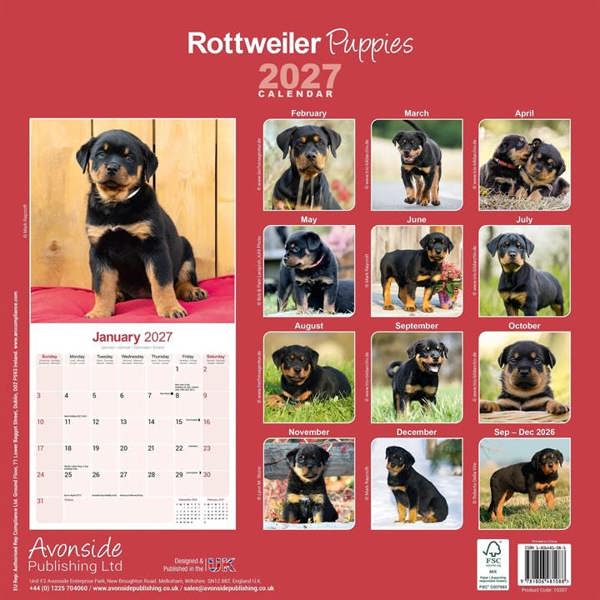 Rottweiler Puppies Calendar 2027, Wall Calendars, Month To View, Dogs, Gift