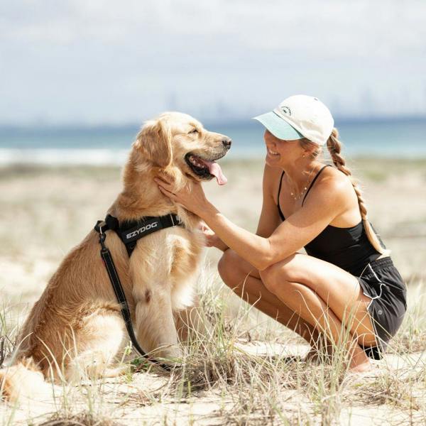 EzyDog Express Dog Harness in Black