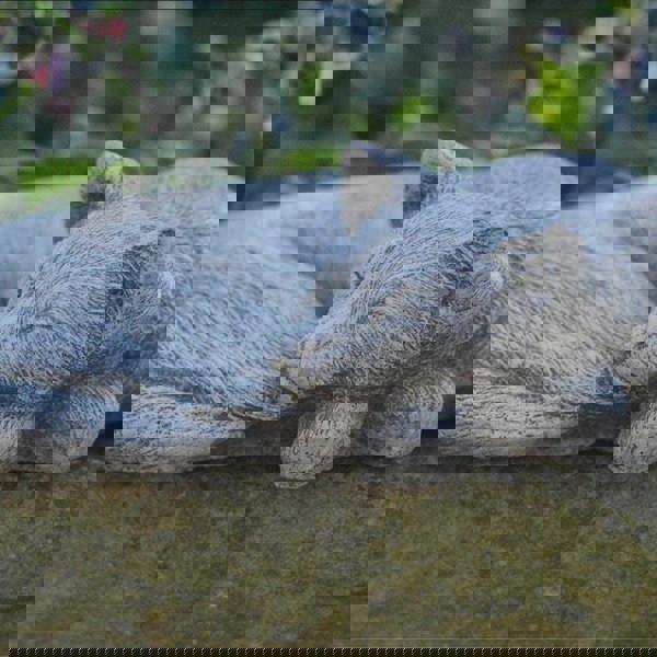 Stone Cast Sleeping Cat Ornament