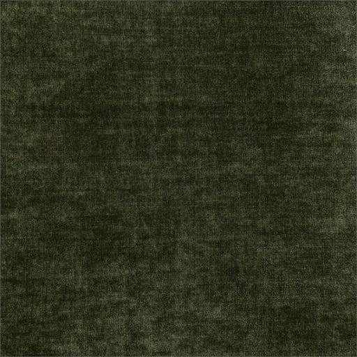 Braga fabric close-up in Moss