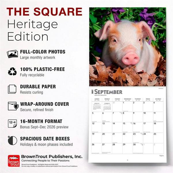 Piglets Calendar 2027, Wall Calendars, Month To View, Animals, Gift