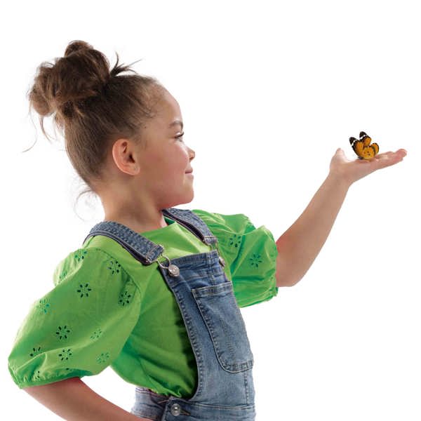 SES Creative Butterfly hotel