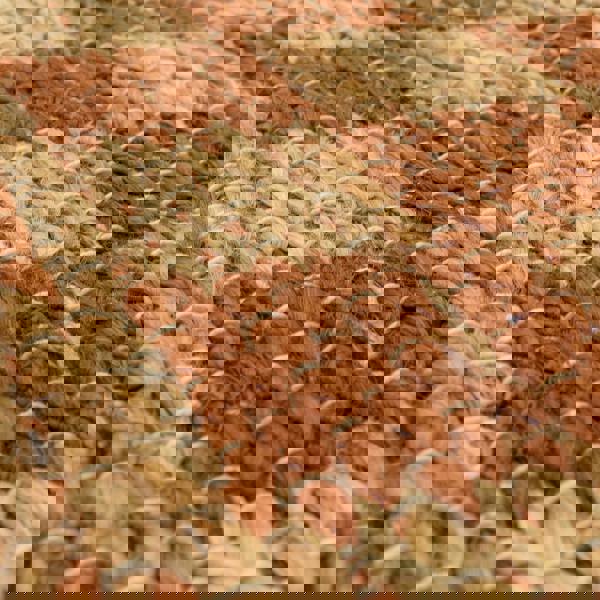 Asiatic Naturi Rust Jute Rug