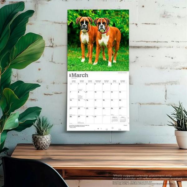 Boxers Calendar 2027, Wall Calendars, Month To View, Dogs, Gift