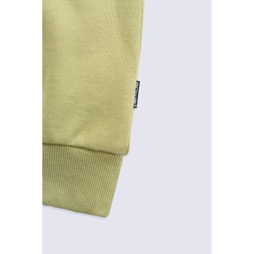 Animal Mens River Established Padstow Hoodie - Green - Green - 100% Organic Cotton