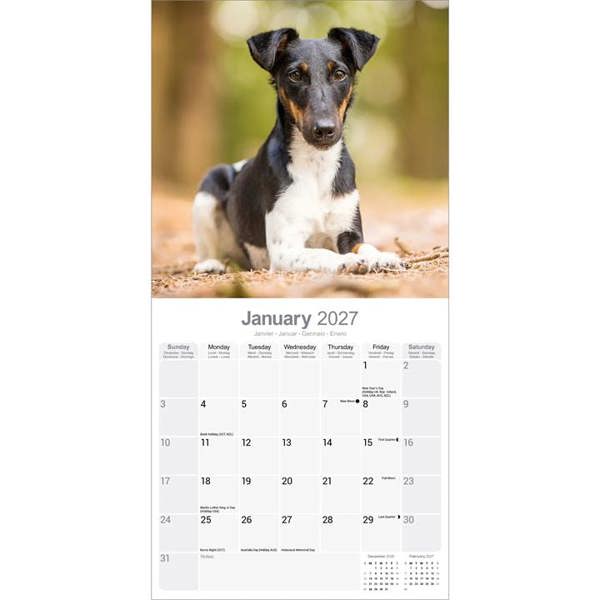 Fox Terrier Calendar 2027, Wall Calendars, Month To View, Dogs, Gift