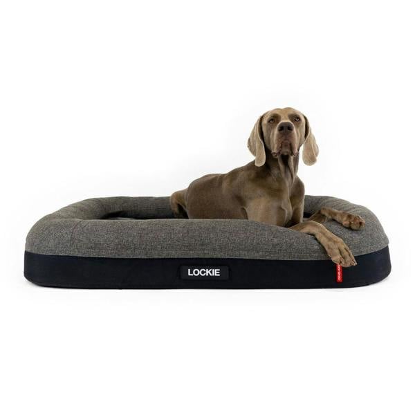 EzyDog Calm Elite Orthopaedic 2 in 1 Design Dog Bed