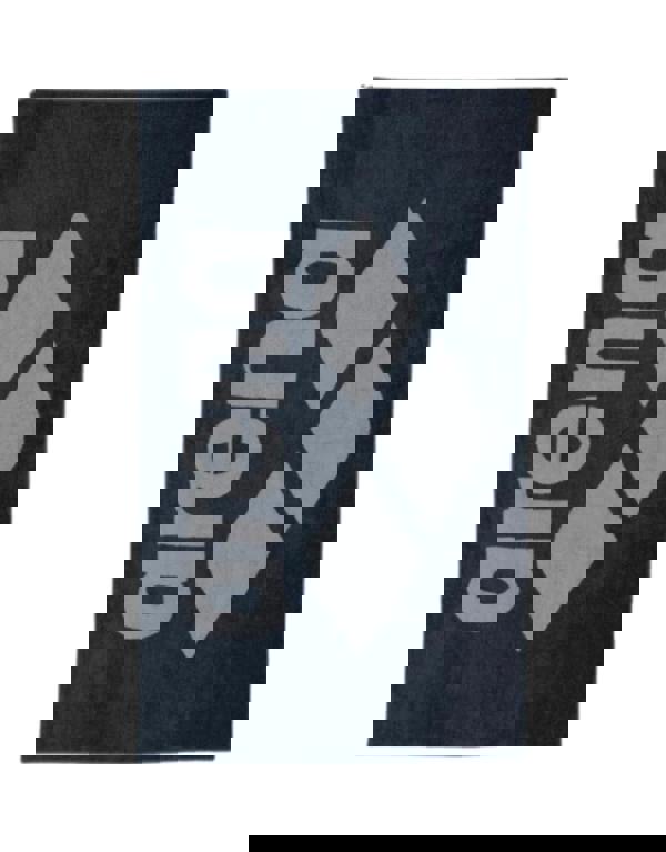 Arena Soft Pool Towel