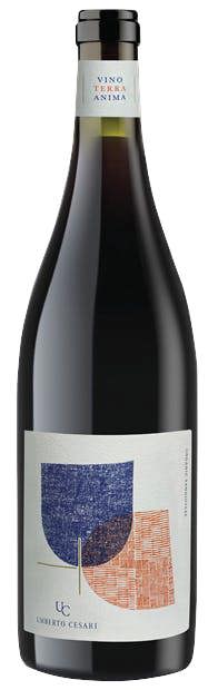 Umberto Cesari, Emilia Romagna, Amphora, Sangiovese 2021 75cl
