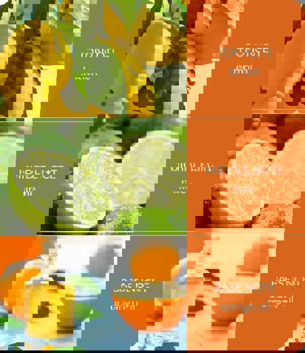 Heart & Home Citrus Crush - 2 Wick Ellipse Candle