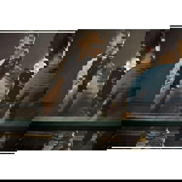 Reebok Boxing Hook and Jab Pads