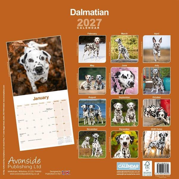 Dalmatian Calendar 2027, Wall Calendars, Month To View, Dogs, Gift