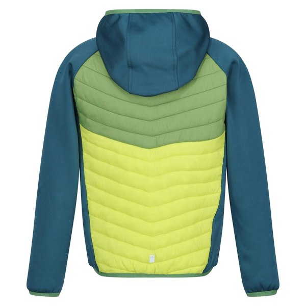 Regatta Childrens/Kids Kielder VIII Hybrid Jacket - Moroccan Blue/Piquant Green/Citron Lime